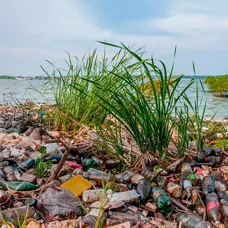 Viridis Iuris  Contaminación y residuos